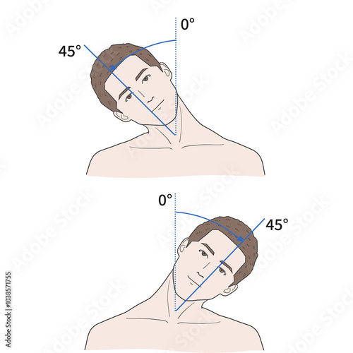 경추 관절 정상 운동 범위 일러스트
