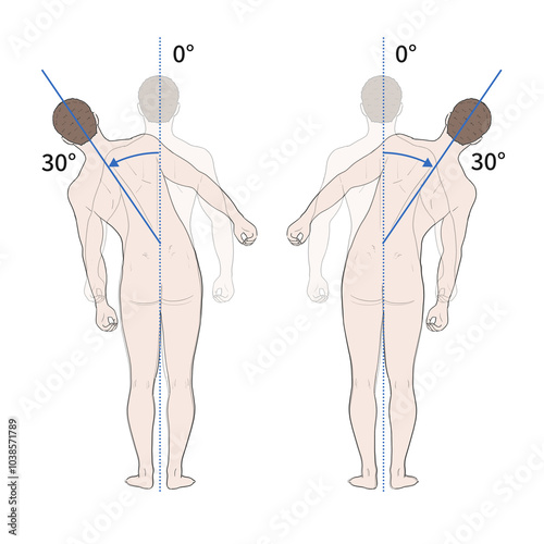 흉요추 관절 정상 운동 범위 일러스트