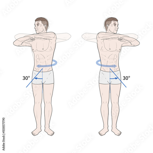 흉요추 관절 정상 운동 범위 일러스트