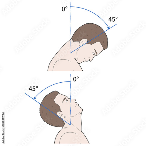 경추 관절 정상 운동 범위 일러스트
