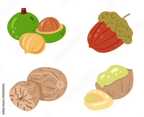 Different nut isolated design element isolated set collection. Vector cartoon hand drawn illustration