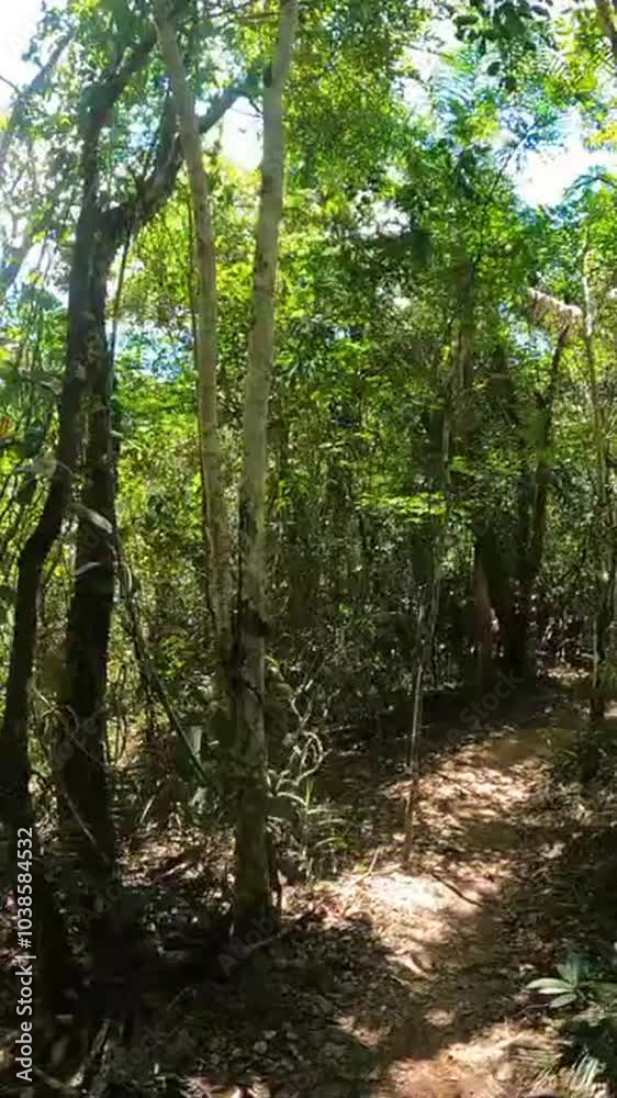 Time lapse caminhando na trilha na cidade de Brasília, Distrito Federal, Brasil Time lapse caminhando na trilha na cidade de Brasília, Distrito Federal, Brasil