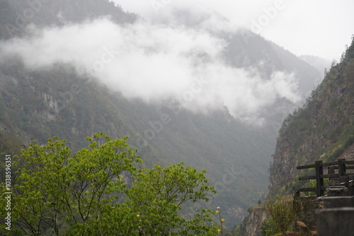 beautiful nature