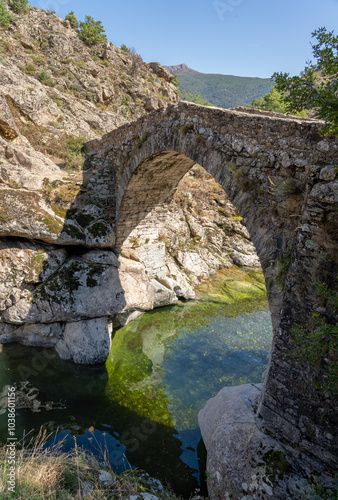 Historic Genoese bridge in Asco, Corsica, France