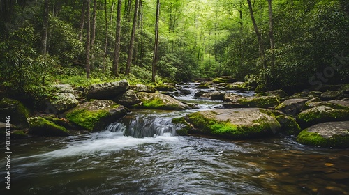 A peaceful woodland stream with crystal-clear water flowing over moss-covered rocks, surrounded by dense forest