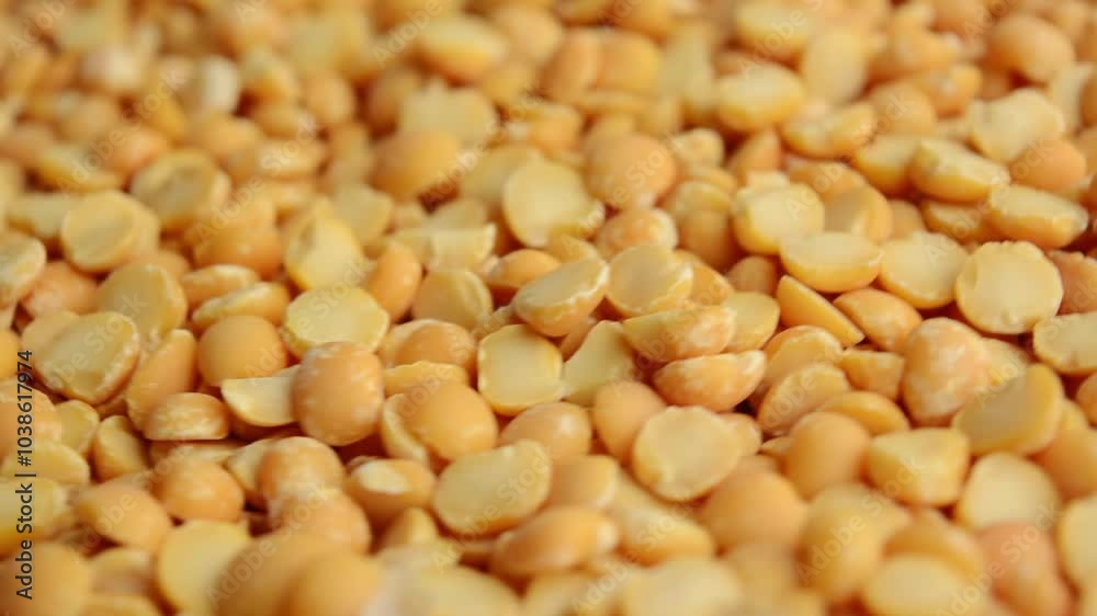 A round yellow pea rotates. Raw yellow peas. Side view. A round yellow pea rotates. Raw yellow peas. Side view.