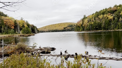 Scenic Autumn Lake with Fallen Trees and Vibrant Foliage