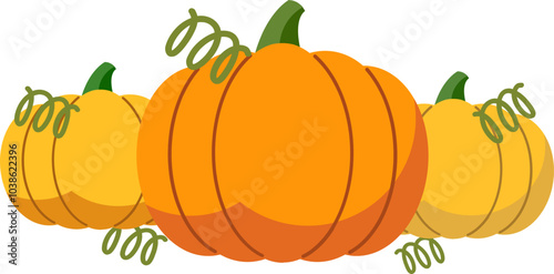 Pumpkin drawings vector set, fall concept, spiral leaves with pumpkins isolated on a white background, multiple colorful hand drawn pumpkins.
pumpkin flat design vector art illustration.
