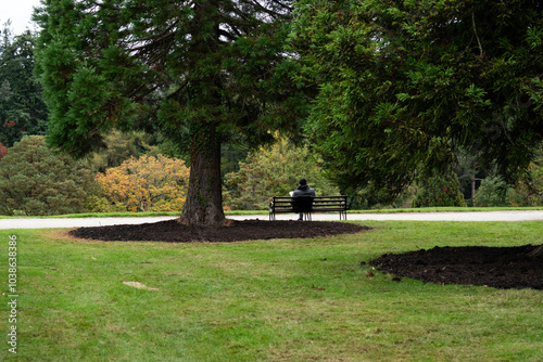 Reading in the park