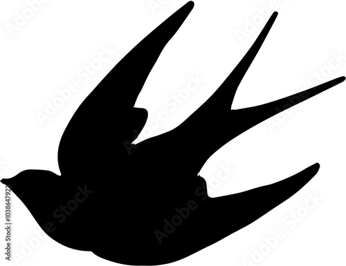 silhouette of a bird
