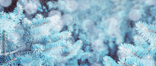 Christmas winter snowy background, blue pine tree branches under winter falling snow, closeup of winter forest nature with free space for Christmas text. Christmas border photo