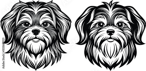 Shih Tzu poses a Charming vector silhouette Dog Design
