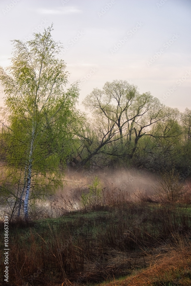 Spring landscape with willow trees on the bank of the river. Spring landscape with willow trees on the bank of the river.