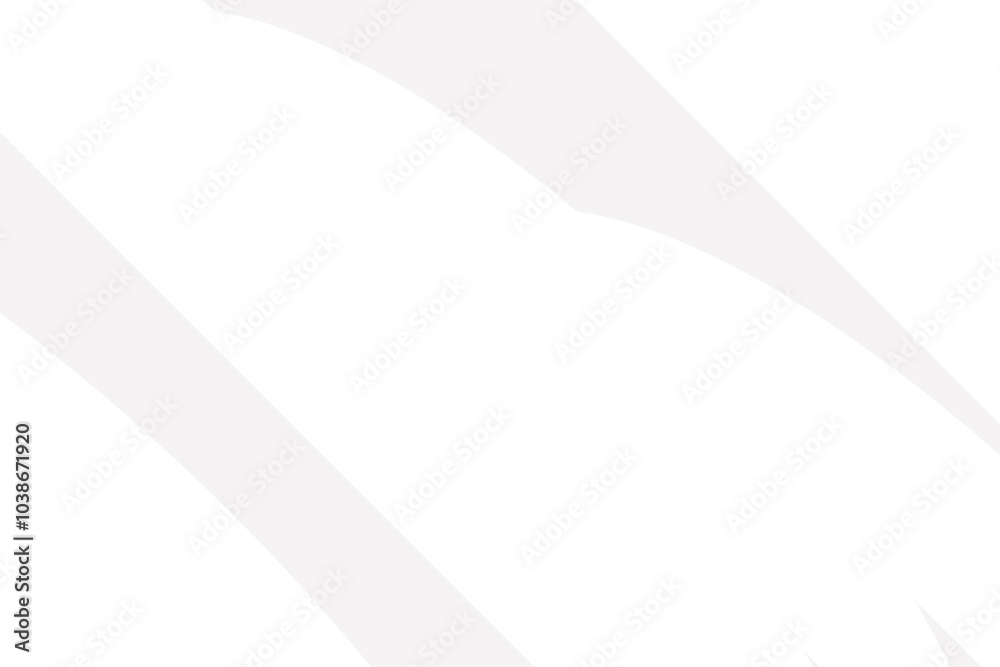 Fototapeta premium White luxury background with grey stripes. Light elegant dynamic abstract BG. 