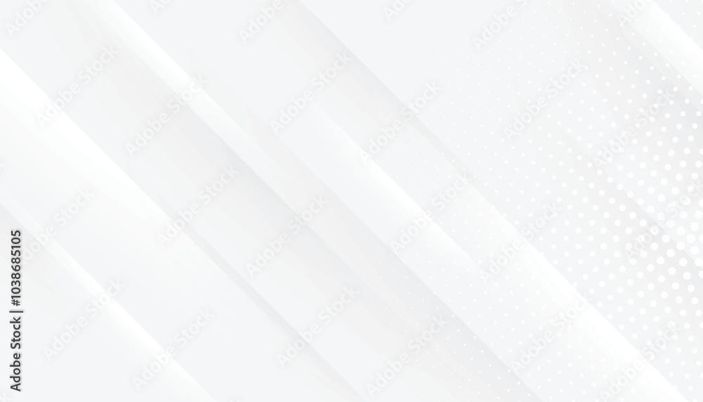 Obraz premium Abstract gray white panoramic background There is a natural pattern in the background.