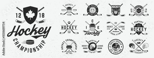 Vintage Ice Hockey logo set. Set of 12 hockey logo templates. Print for t-shirt, typography. Trendy vintage hipster design. Vector illustration