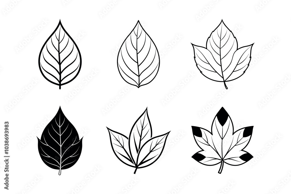 Set of leaf icons silhouette. Vector art illustration. Isolated on White Background. Set of leaf icons silhouette. Vector art illustration. Isolated on White Background.