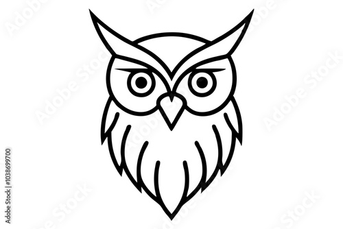 owl isolated on white