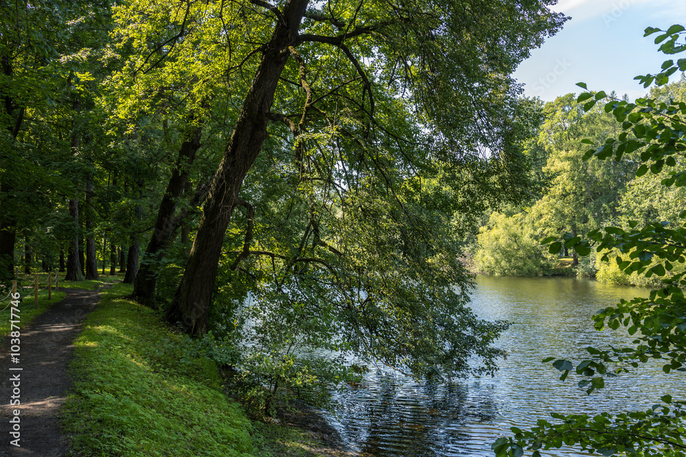 A path runs along the edge of a lake, with trees lining the sides A path runs along the edge of a lake, with trees lining the sides