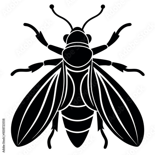Insect silhouette image vector illustration.
