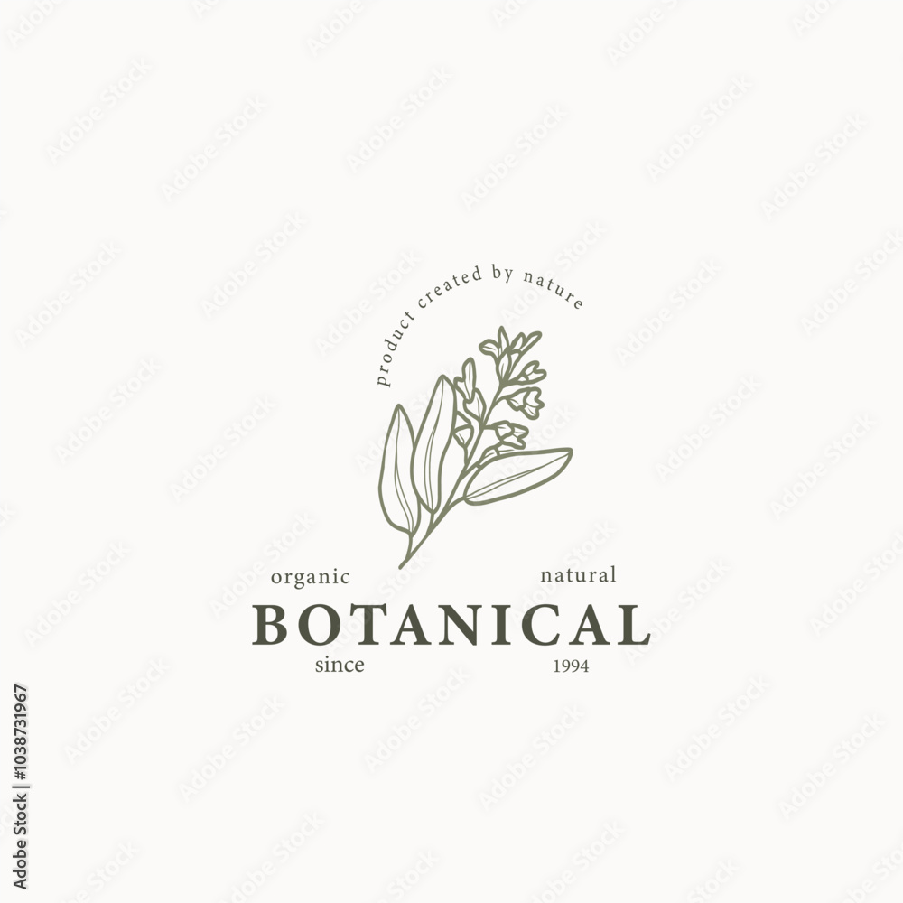 Line art sage branch logo Line art sage branch logo