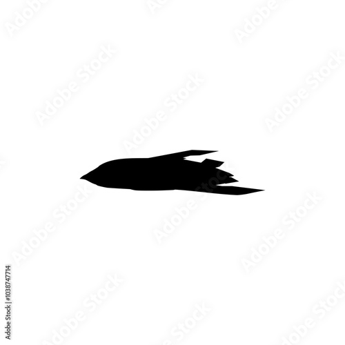 Silhouette of the Jet Fighter, Fighter Aircraft, are military aircraft designed primarily for air-to-air combat. Vector Illustration