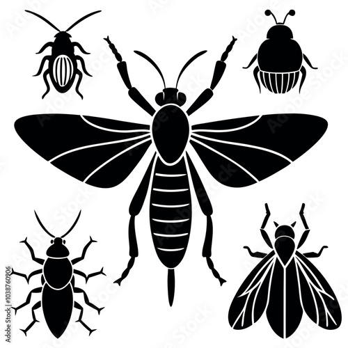 Insect silhouette image vector illustration.
