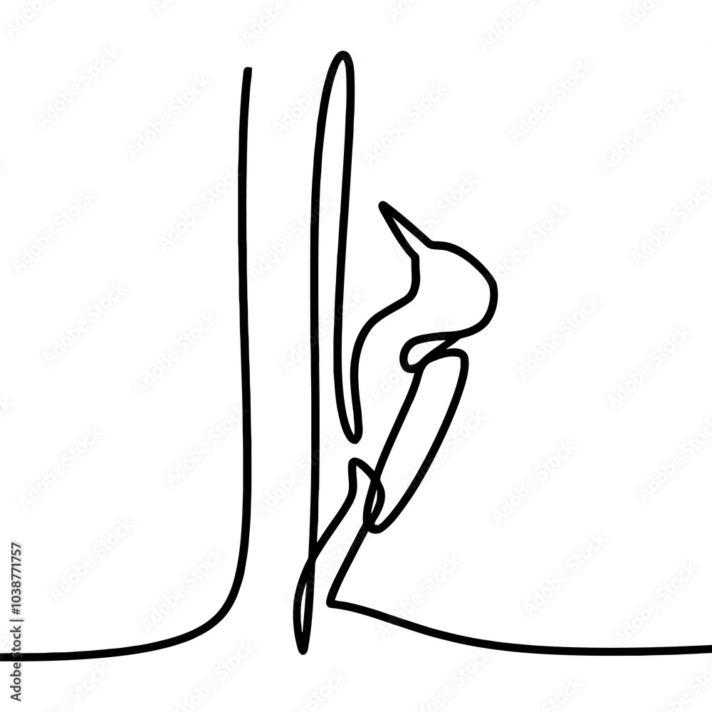 woodpecker line drawing woodpecker line drawing