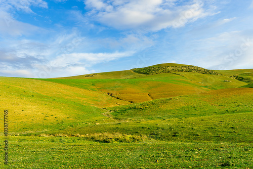 panoramic farmland landscape with green spring field , salad and yellow hills, garden and grassland and beautiful cloudy sky.