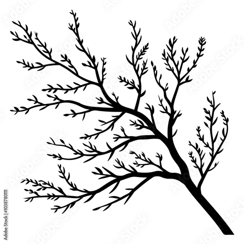 Branch