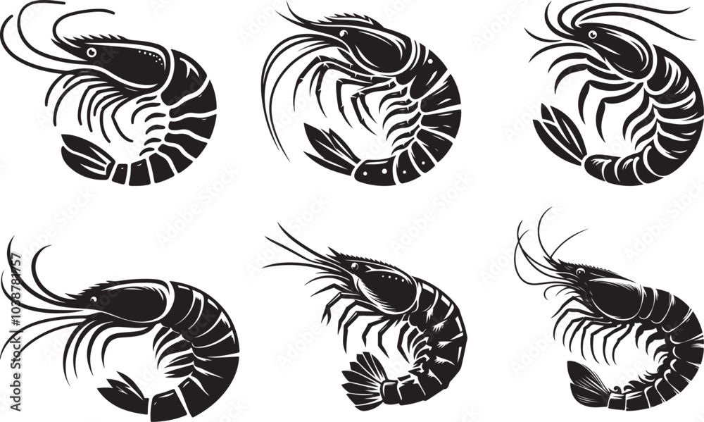 Shrimp illustration design Shrimp illustration design
