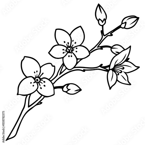 pen drawing a branch of a cherry tree in blossom,	
