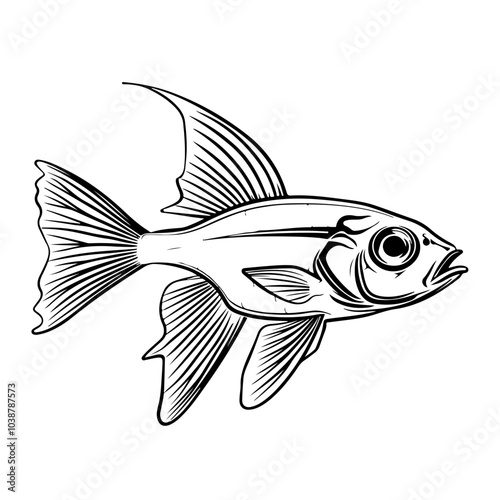 Cardinalfish