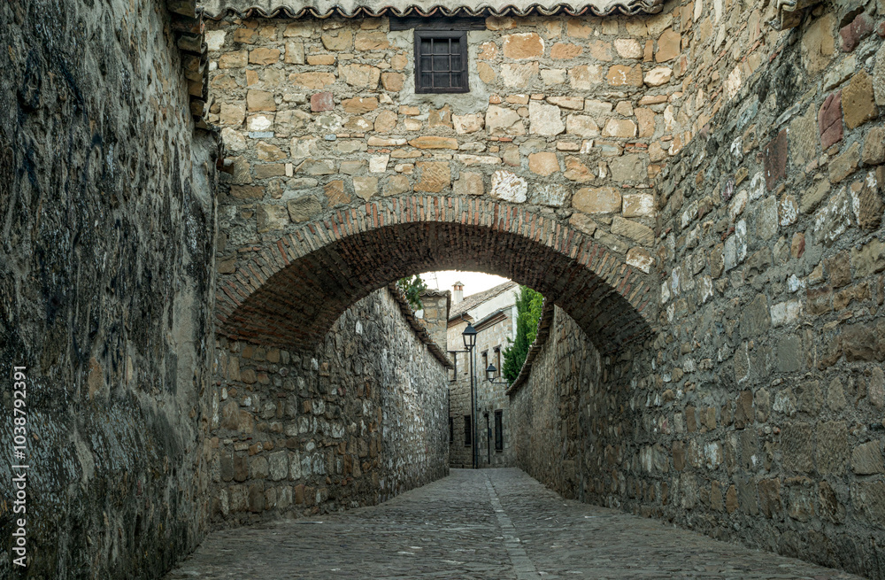 Fototapeta premium Alley in the old town of Baeza in Jaén, Andalusia, Spain, a World Heritage city, with an arch crossing from side to side an alley