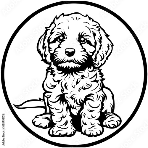 Cockapoo Puppy