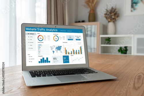 Computer software for website traffic analytics data on computer screen. Concept of SEO search engine optimization and customer targeting for online business snugly