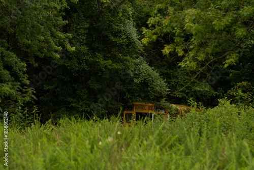 school bus in woods