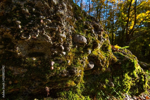 Geologists Day. Learning Geology. Conglomerate Rock Cliff - Lithuania, Stakai. Autumn Colors, leaf, Warm colors, Natural photo