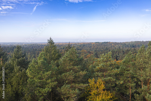 View from the Hahnheide tower