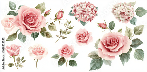 White and pink roses and hydrangea. Watercolor floral bouquets. Foliage arrangement for wedding , greetings, wallpapers, fashion, fabric, home decoration. watercolor