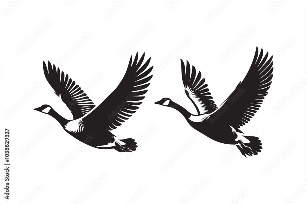 Goose silhouette vector illustration, Goose silhouette bundle Goose silhouette vector illustration, Goose silhouette bundle