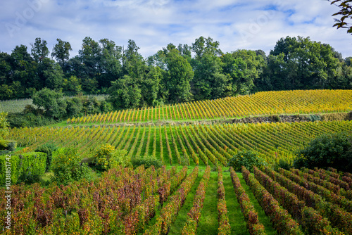 Saint-Emilion photo