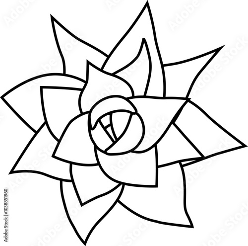 Aeonium mascaense view from top. Simple style vector illustration or icon. Succulent plant in black and white flat style. Useful for print and design