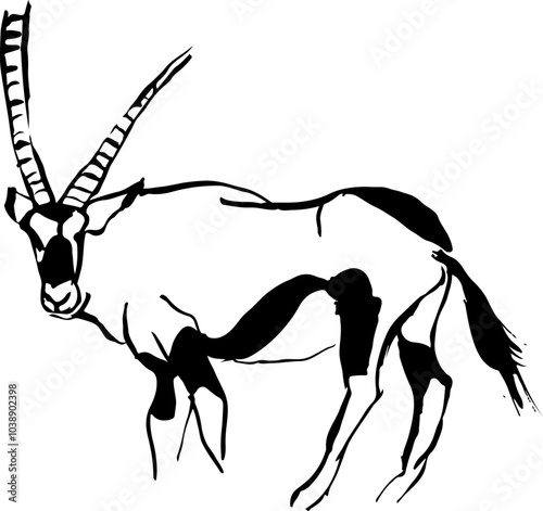 Oryx de profil