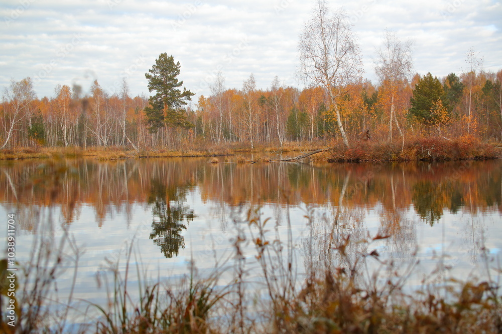 autumn trees reflected in water autumn trees reflected in water