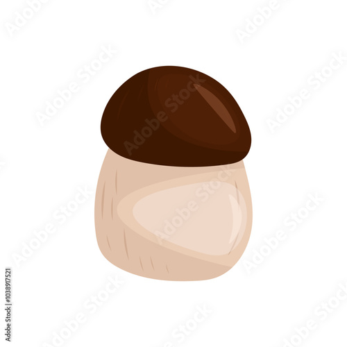 White mushroom on white background vector illustration