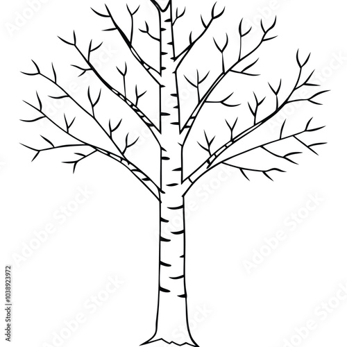 Elegant natural birch tree silhouette vector art for nature-themed designs, eco-friendly projects, and environmental branding. Perfect for digital or printable decor. photo