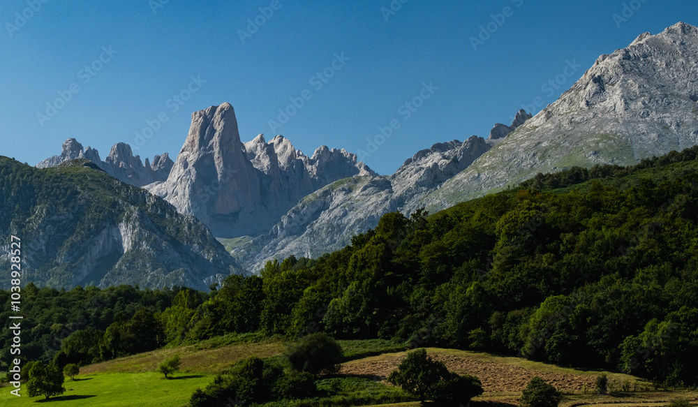 beautiful valley with large mountains in the background beautiful valley with large mountains in the background