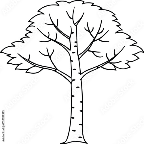 Elegant natural birch tree silhouette vector art for nature-themed designs, eco-friendly projects, and environmental branding. Perfect for digital or printable decor. photo