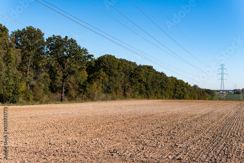 Landscape with empty fields in front of forest during sunny day in autumn photo